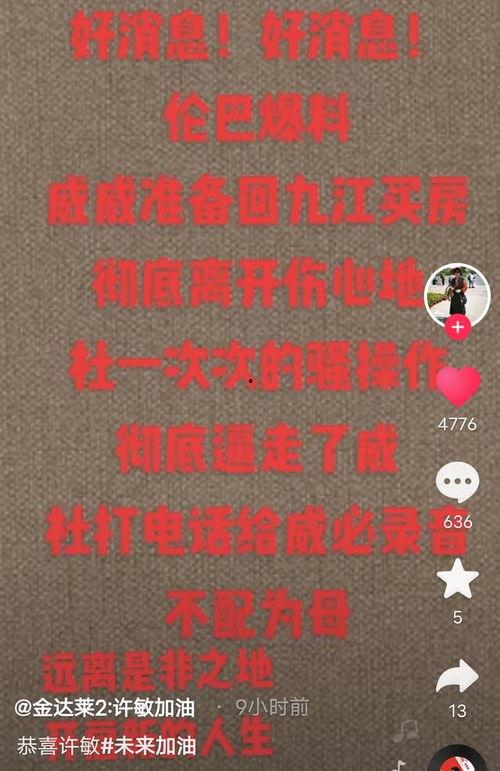 张伦巴最新爆料,揭秘娱乐圈不为人知的秘密