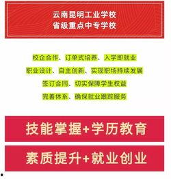 昆明校园爆料视频最新版,揭秘校园内幕，引发热议