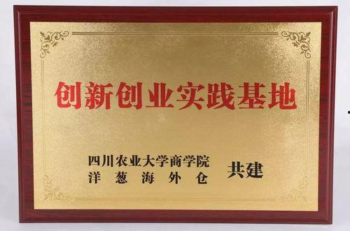 广东财经爆料最新消息,揭秘行业巨头重大动态与市场走向