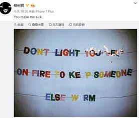 杨树朋最新爆料,事件背后惊人真相